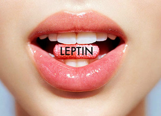Leptin Hormonu